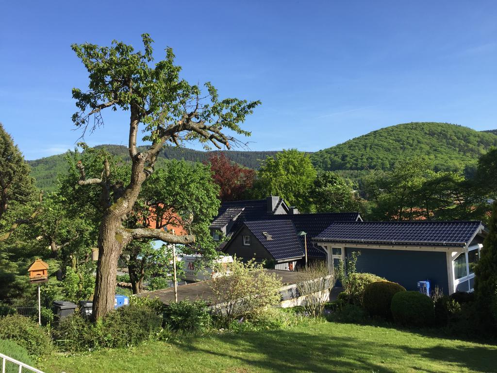 Ferienhaus Goethestrasse 巴特哈尔茨堡 外观 照片